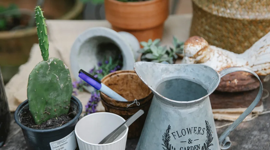 10 must-have tuingereedschap voor een spectaculaire buitenruimte Garden Equipment | Wstp