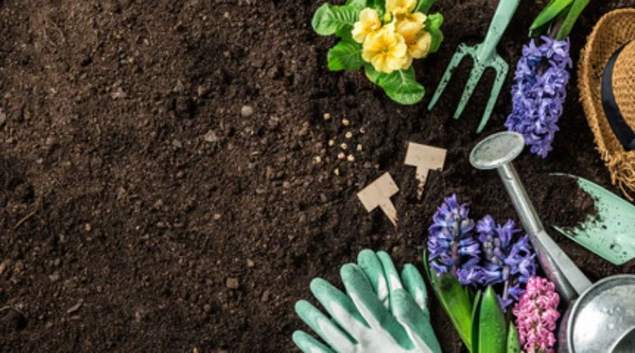 Maximaal comfort en gemak: De beste reisaccessoires die je nodig hebt voor je volgende reis.Image Source: FreeImagesInleiding tot reisaccessoires garden equipments