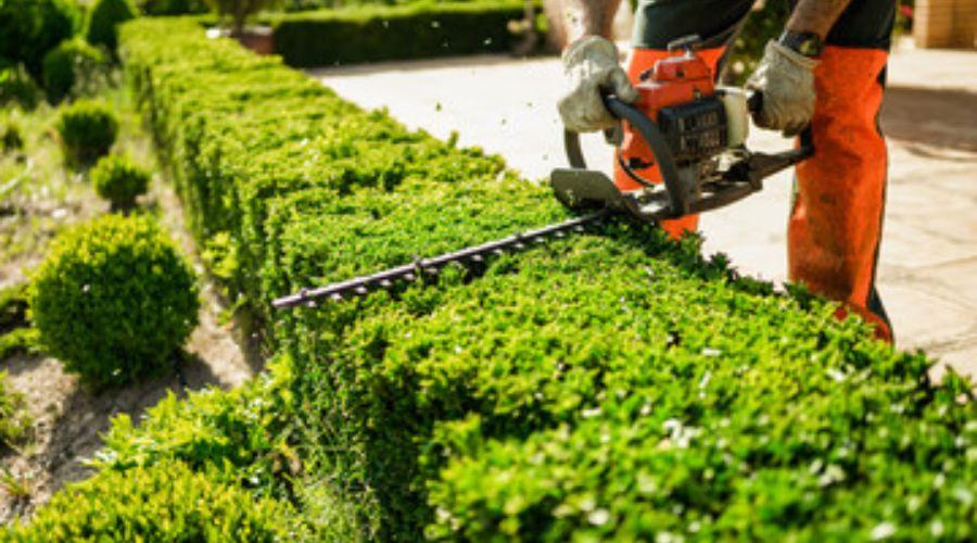De ultieme gids voor het inpakken van reisaccessoires voor elke soort reis Garden equipments