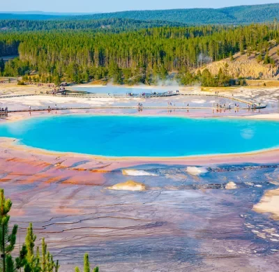 4 Yellowstone Wildlife Discovery Experiences_converted